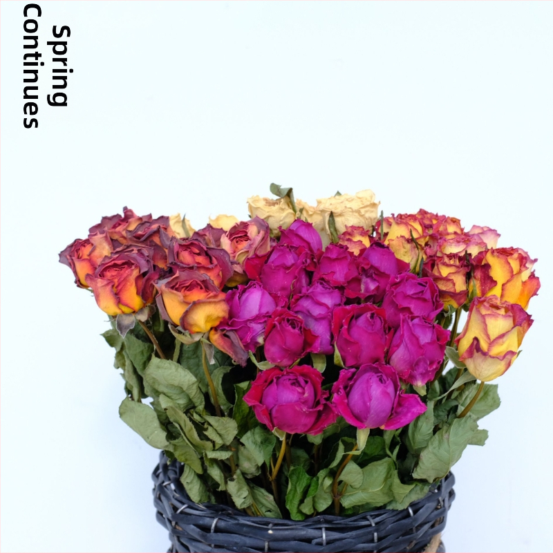 Клонки рози – сушени рози със листни жилки – за букет – опаковка картон – марка Spring keeps flowers