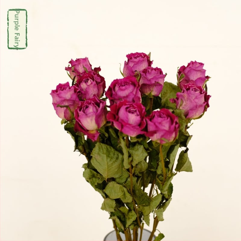 Клонки рози – сушени рози със листни жилки – за букет – опаковка картон – марка Spring keeps flowers