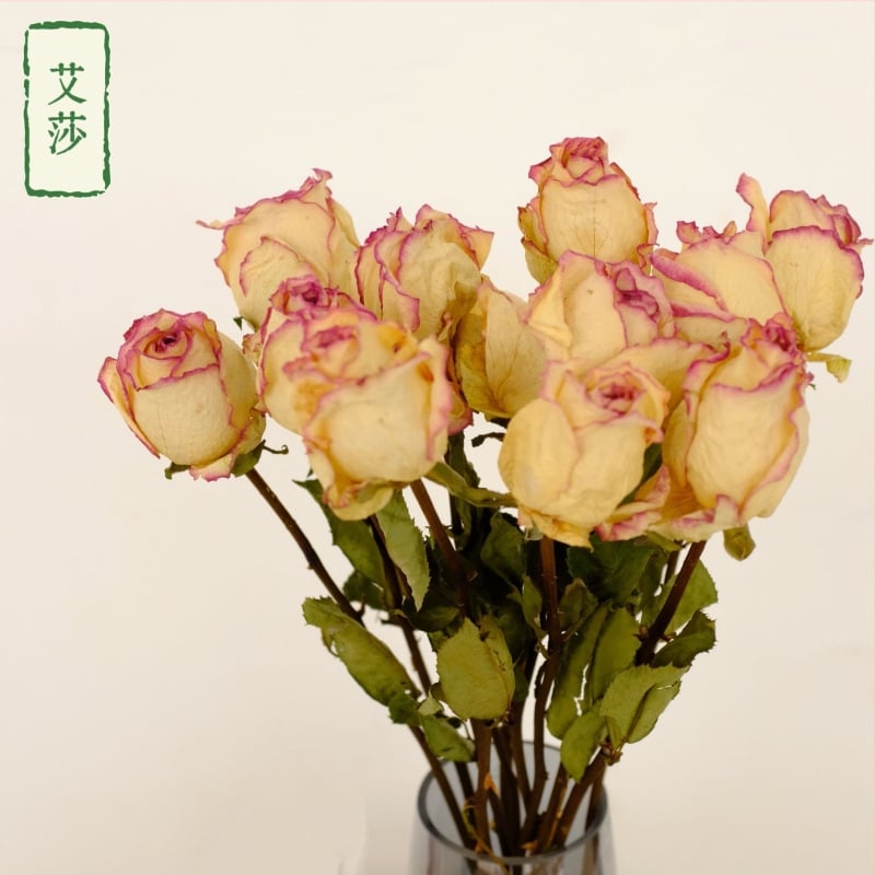 Клонки рози – сушени рози със листни жилки – за букет – опаковка картон – марка Spring keeps flowers