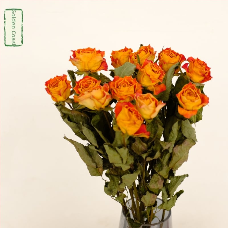 Клонки рози – сушени рози със листни жилки – за букет – опаковка картон – марка Spring keeps flowers