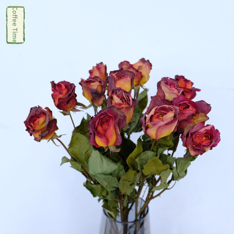 Клонки рози – сушени рози със листни жилки – за букет – опаковка картон – марка Spring keeps flowers