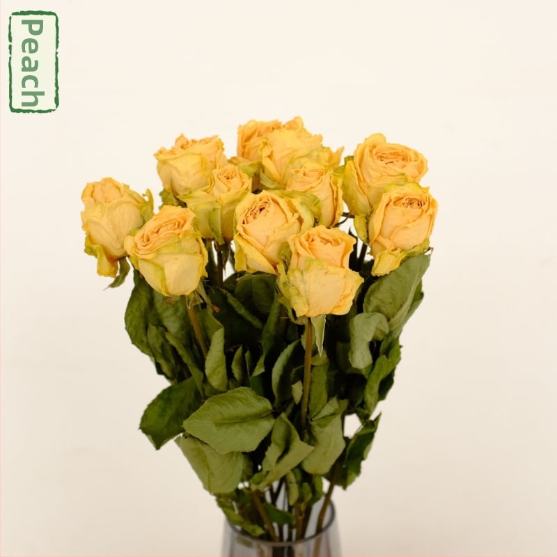 Клонки рози – сушени рози със листни жилки – за букет – опаковка картон – марка Spring keeps flowers