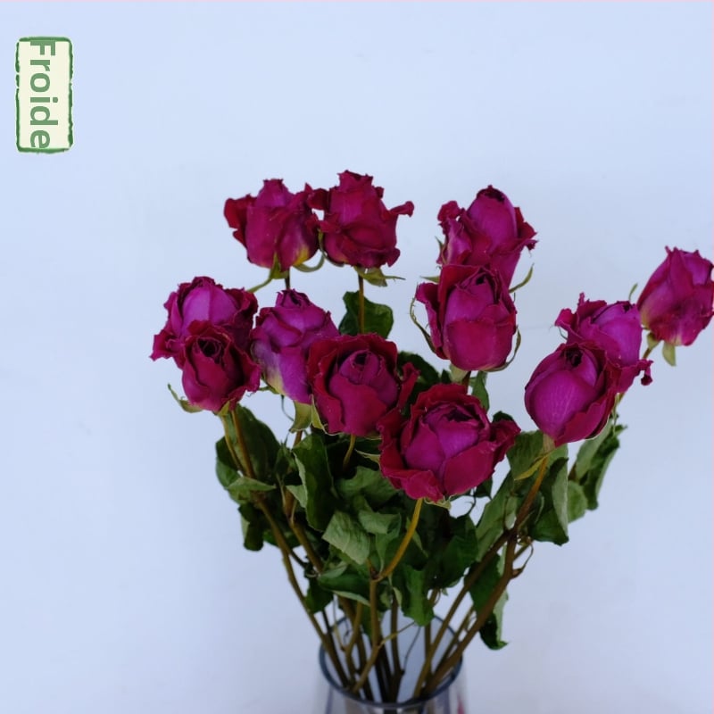 Клонки рози – сушени рози със листни жилки – за букет – опаковка картон – марка Spring keeps flowers