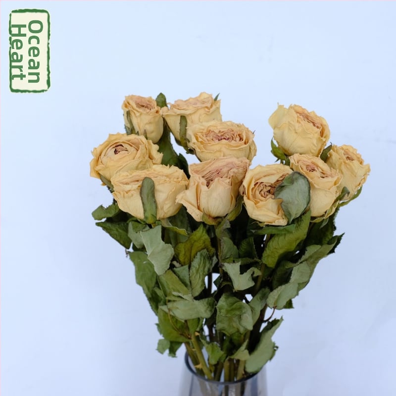 Клонки рози – сушени рози със листни жилки – за букет – опаковка картон – марка Spring keeps flowers