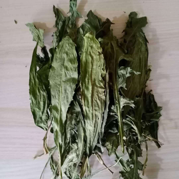 Суха храна за малки животни – сено от цикория, за зайци, шиншили и морски свинчета; 500 г; Longteng planting