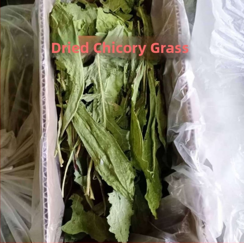 Суха храна за малки животни – сено от цикория, за зайци, шиншили и морски свинчета; 500 г; Longteng planting