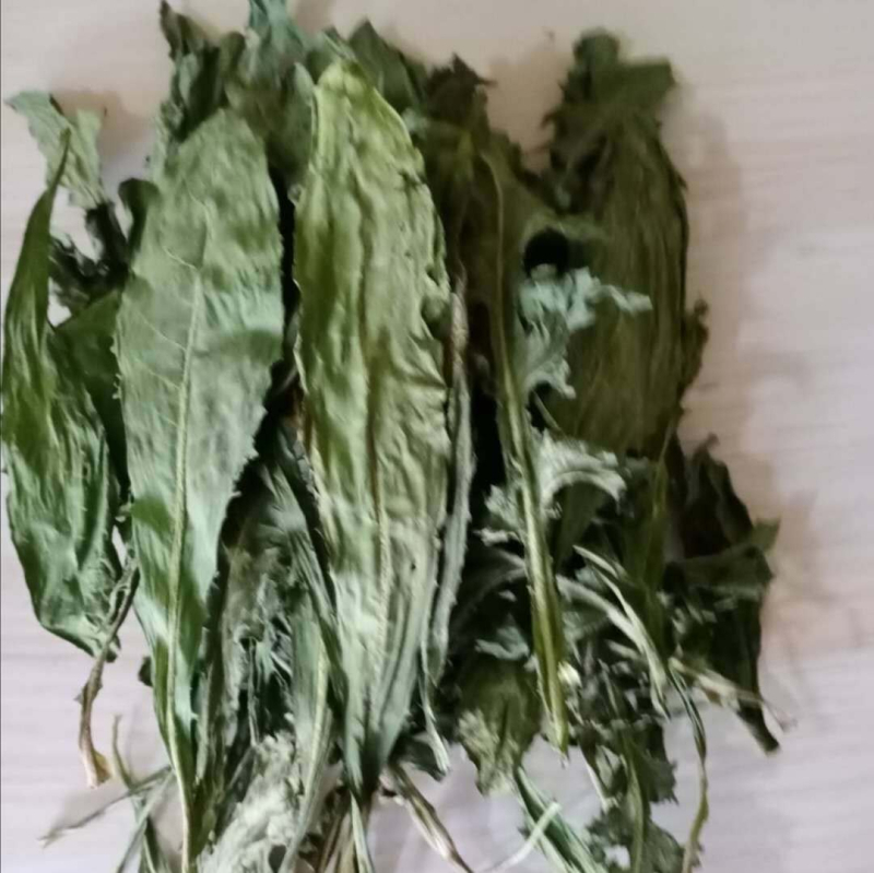 Суха храна за малки животни – сено от цикория, за зайци, шиншили и морски свинчета; 500 г; Longteng planting