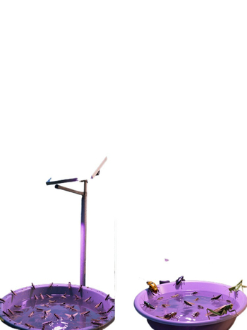 Lampă lipicioasă pentru țânțari, exterior, acoperire 10 m², funcționare electrică manuală, fără baterie