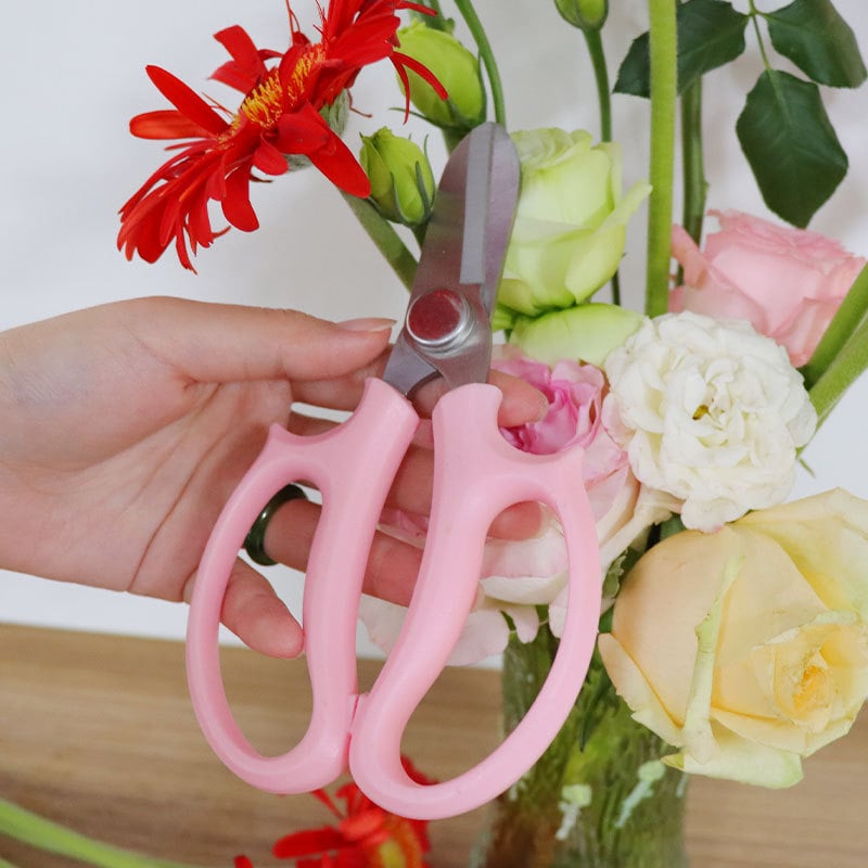 Градински ножици за подрязване на цветя, неръждаема стомана, мощни, за домашна употреба