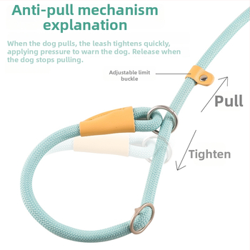 Xinte poliészter kutya edző készlet – állítható vontató öv, lánc/kötél
