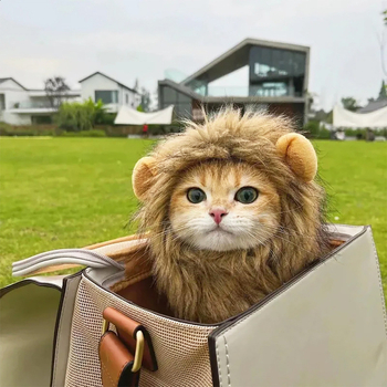 Augintinių kepurė-peruka – kačiukams ir šunims, miela karikatūrinė transformacija; medžiaga: dirbtinė pūka; pynimo tipas: plokščias pynimas; apdirbimas: tie-dye; sezonos: keturios metų laikai