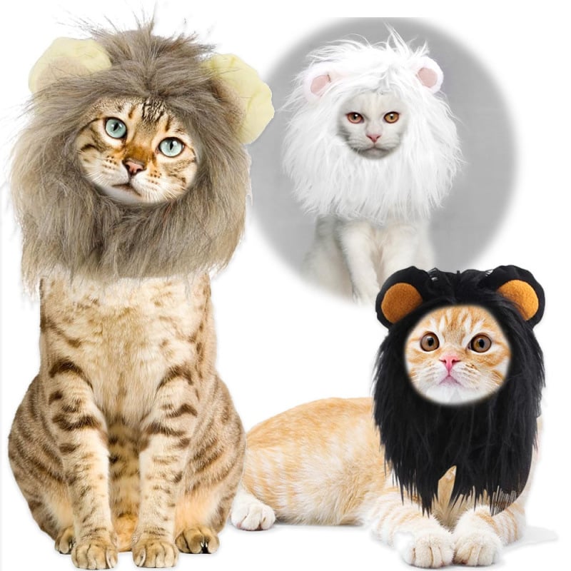 Augintinių kepurė-peruka – kačiukams ir šunims, miela karikatūrinė transformacija; medžiaga: dirbtinė pūka; pynimo tipas: plokščias pynimas; apdirbimas: tie-dye; sezonos: keturios metų laikai