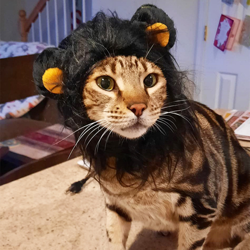 Augintinių kepurė-peruka – kačiukams ir šunims, miela karikatūrinė transformacija; medžiaga: dirbtinė pūka; pynimo tipas: plokščias pynimas; apdirbimas: tie-dye; sezonos: keturios metų laikai