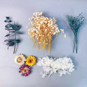 Džiovintų gėlių rinkinys DIY nuotraukų rėmui ir apvaliam rankiniam ventiliatoriui — medžiaga: amžinosios gėlės; veislė: All over the Sky star; prekė: Zheng Ding.