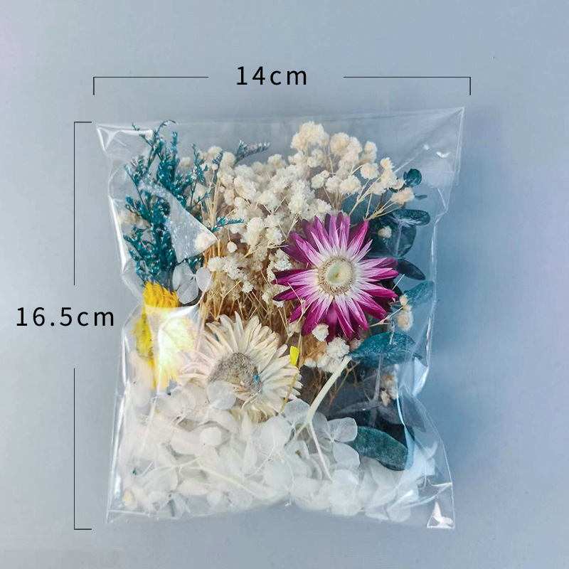 Džiovintų gėlių rinkinys DIY nuotraukų rėmui ir apvaliam rankiniam ventiliatoriui — medžiaga: amžinosios gėlės; veislė: All over the Sky star; prekė: Zheng Ding.