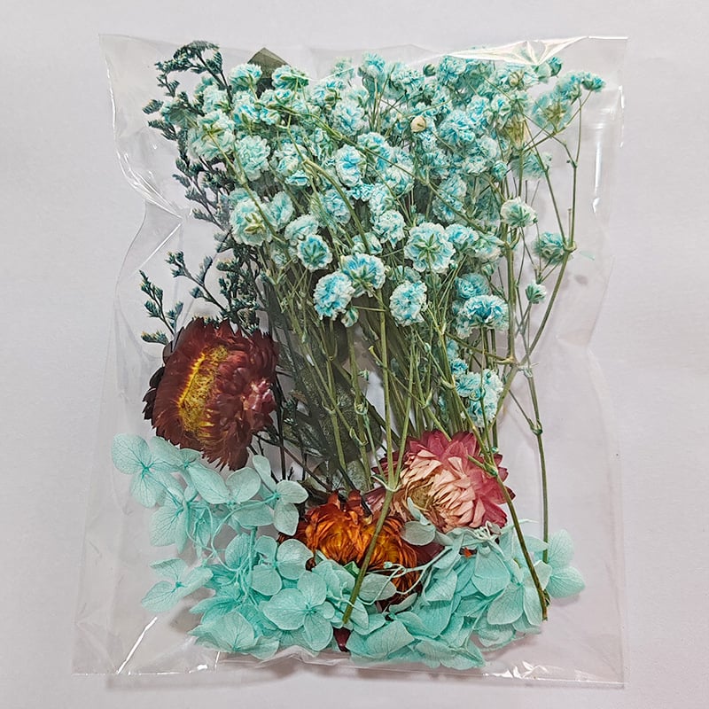 Džiovintų gėlių rinkinys DIY nuotraukų rėmui ir apvaliam rankiniam ventiliatoriui — medžiaga: amžinosios gėlės; veislė: All over the Sky star; prekė: Zheng Ding.