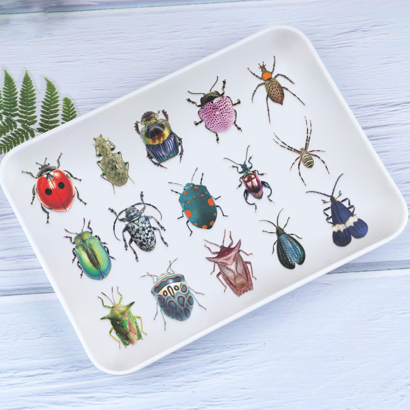 Naljepnice - 50 insekata tematskih PET dvostrano prozirnih naljepnica za planere, boce za vodu i futrole za mobitele; retro stil; tisak.