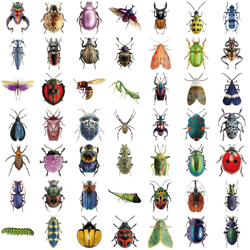 Naljepnice - 50 insekata tematskih PET dvostrano prozirnih naljepnica za planere, boce za vodu i futrole za mobitele; retro stil; tisak.