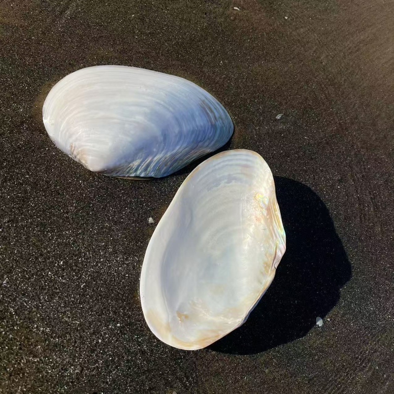 Luobeyi természetes, fényesen polírozott kagylóhéj dekoratív tányér – kézi készítésű, mediterrán stílus