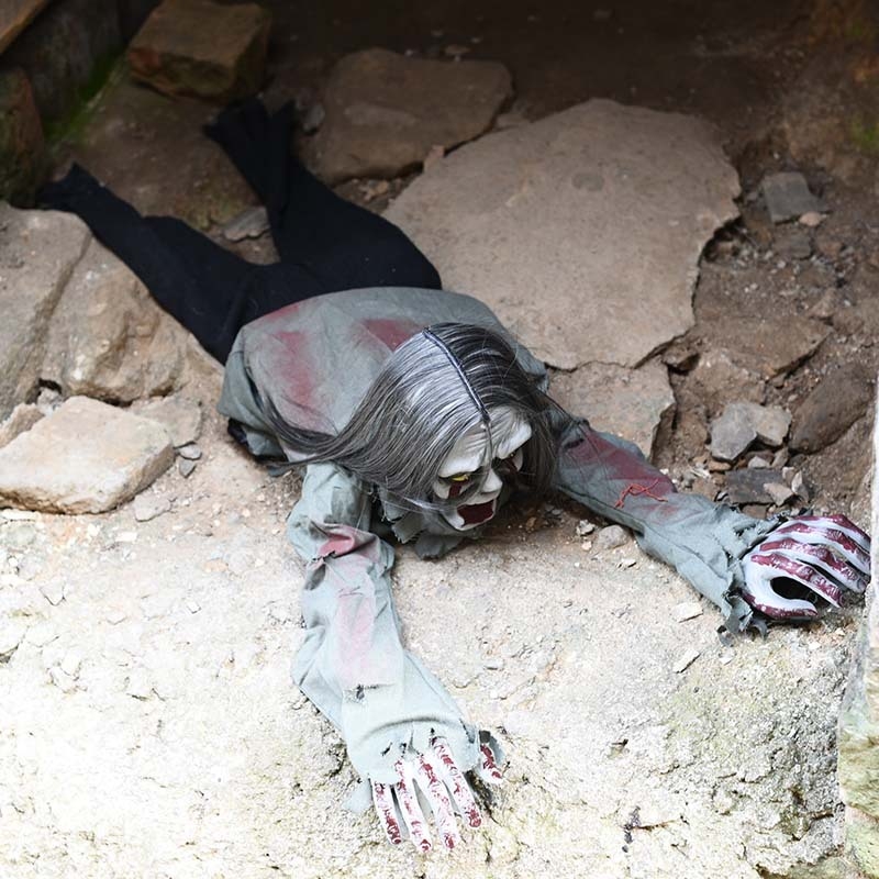 Duh koji se puzajući kreće uz glasovno upravljanje, s kosom, ukras Halloween