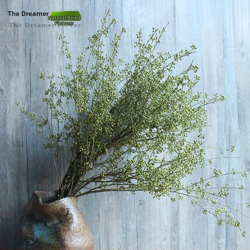 Augļu žāvēti ziedi mājas dekoriem — Zīmols The Dreamer Flower; Materiāls: žāvēti ziedi; Process: 22408001136; Veids: Auglis; Variants: Cits