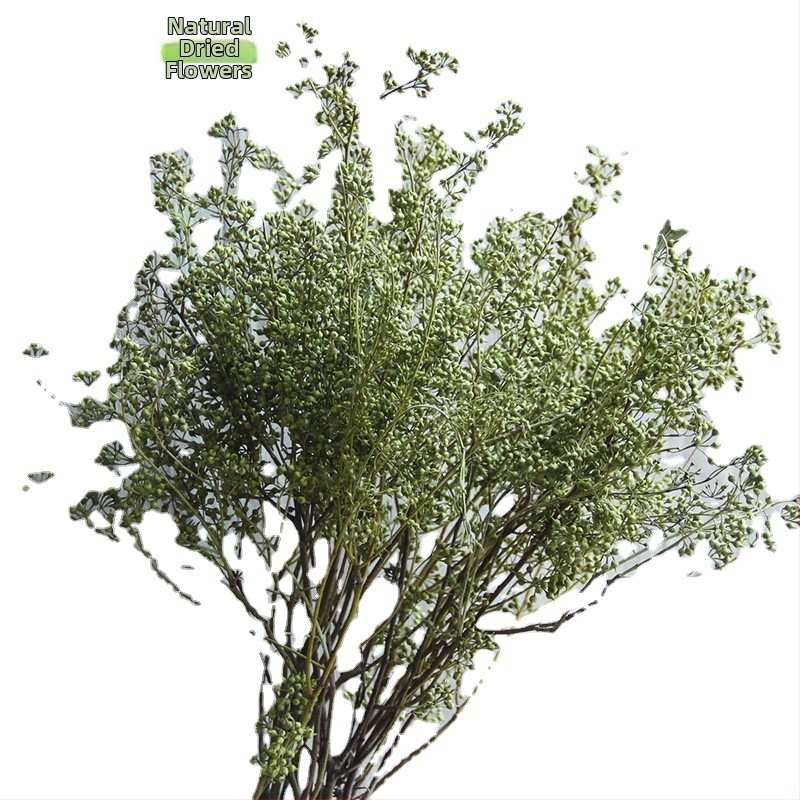 Augļu žāvēti ziedi mājas dekoriem — Zīmols The Dreamer Flower; Materiāls: žāvēti ziedi; Process: 22408001136; Veids: Auglis; Variants: Cits