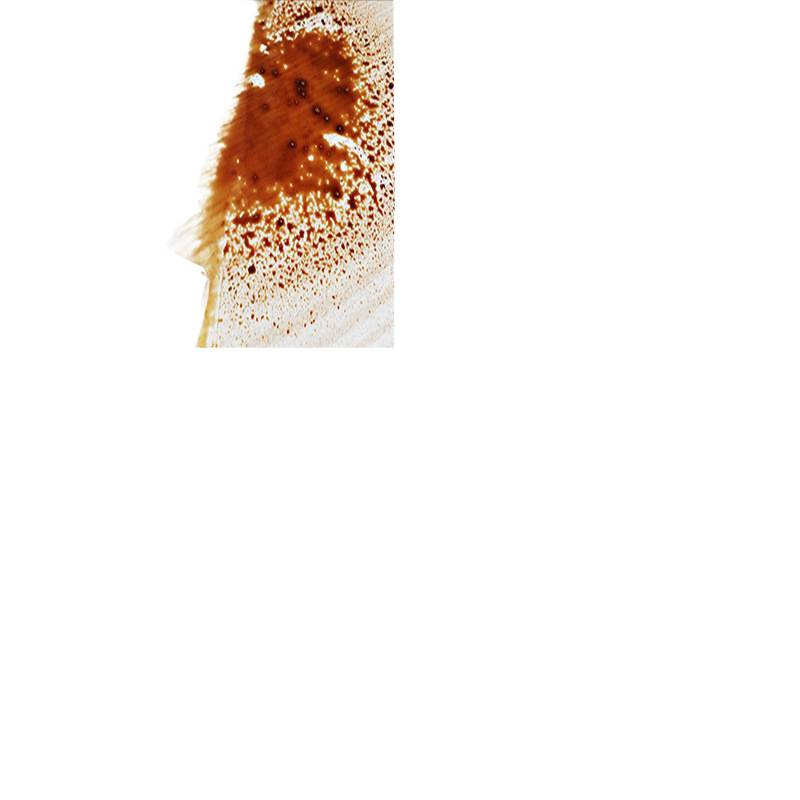 Folie autocolantă cu aspect lemn pentru renovarea mobilierului — suprafață simulată din lemn, stil modern minimalist, potrivită pentru uși, rame, dulapuri și birouri