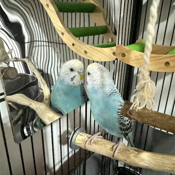 Plastmasas izliecāmā spoguļa lēca, pašlīmējoša, DIY zinātnes eksperiments, 1 gab., piemērots bērnu istabai