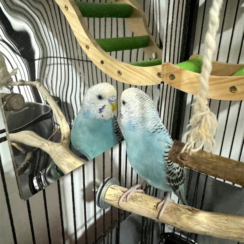 Plastmasas izliecāmā spoguļa lēca, pašlīmējoša, DIY zinātnes eksperiments, 1 gab., piemērots bērnu istabai