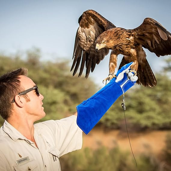 Кожени обучителни ръкавици против ухапвания, унисекс за тренировка на кучета и котки, дебели и нехлъзгващи, представени през лятото на 2023 г.