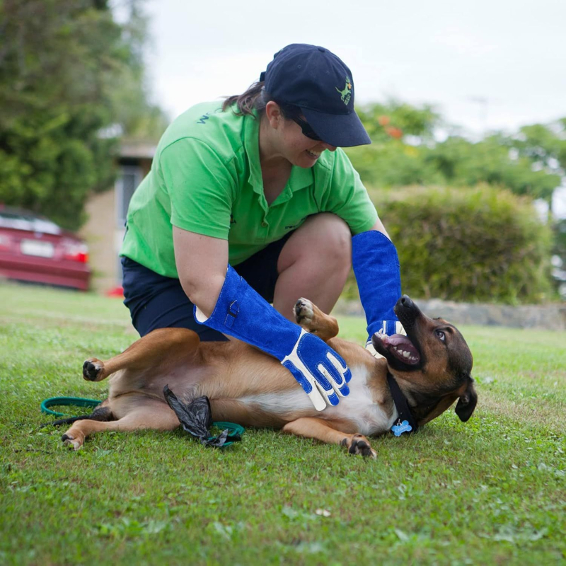 Кожени обучителни ръкавици против ухапвания, унисекс за тренировка на кучета и котки, дебели и нехлъзгващи, представени през лятото на 2023 г.