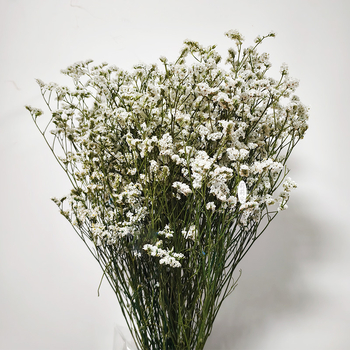 Безсмъртна кристална трева – изсушени цветя за букет, боядисана, Opp торбички опаковка, марка Lillian's