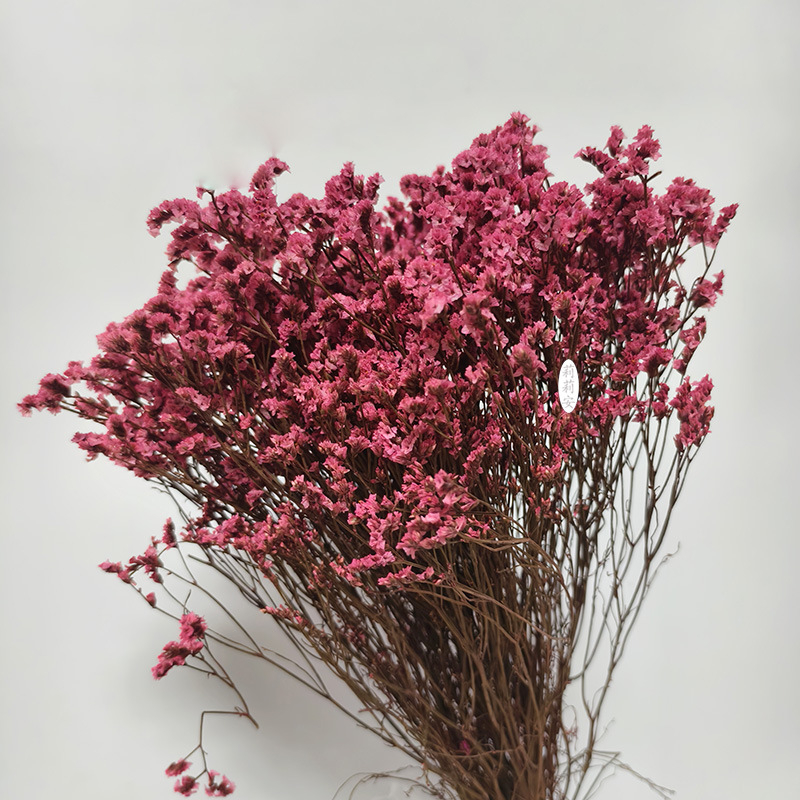 Безсмъртна кристална трева – изсушени цветя за букет, боядисана, Opp торбички опаковка, марка Lillian's