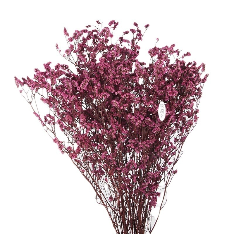 Безсмъртна кристална трева – изсушени цветя за букет, боядисана, Opp торбички опаковка, марка Lillian's