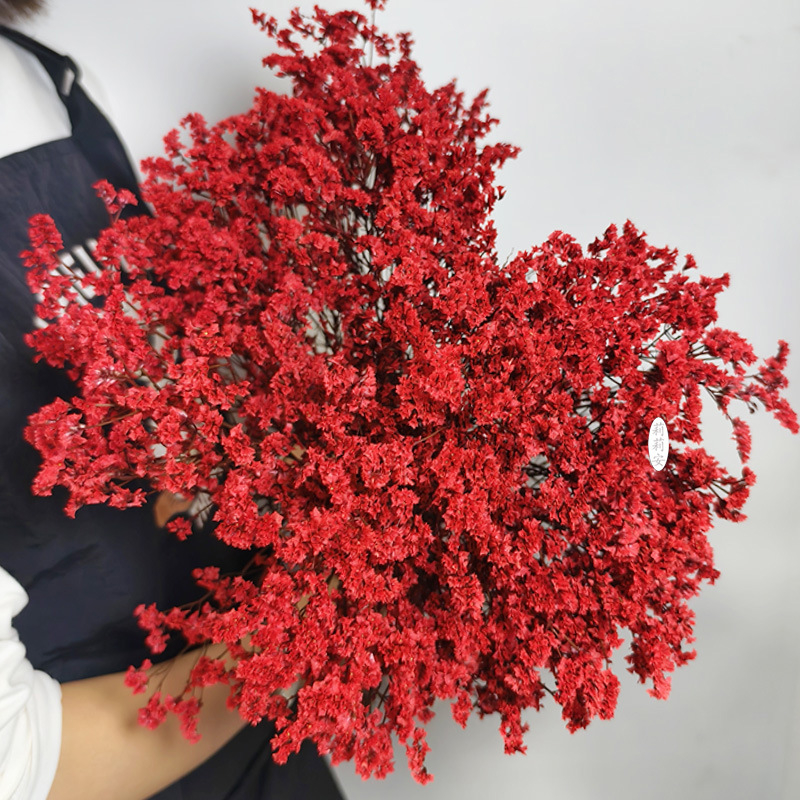 Безсмъртна кристална трева – изсушени цветя за букет, боядисана, Opp торбички опаковка, марка Lillian's