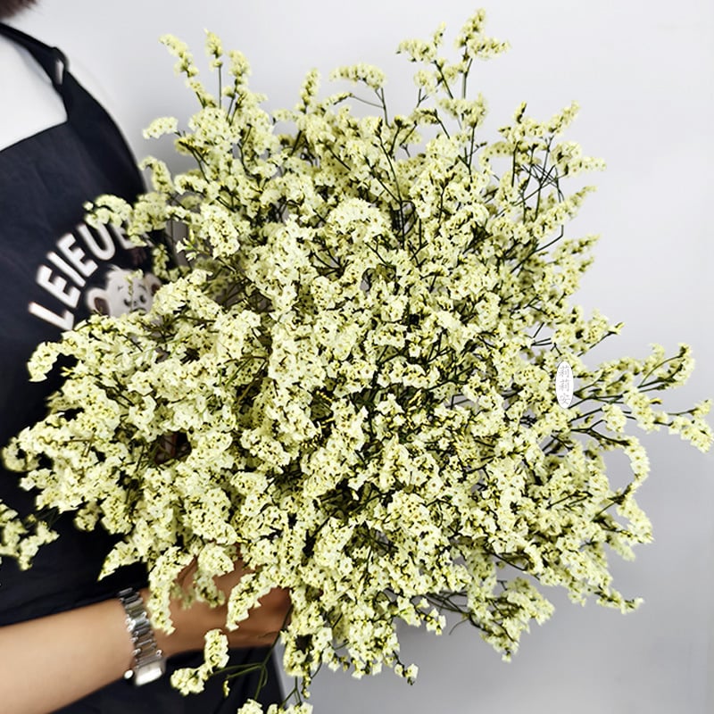 Безсмъртна кристална трева – изсушени цветя за букет, боядисана, Opp торбички опаковка, марка Lillian's