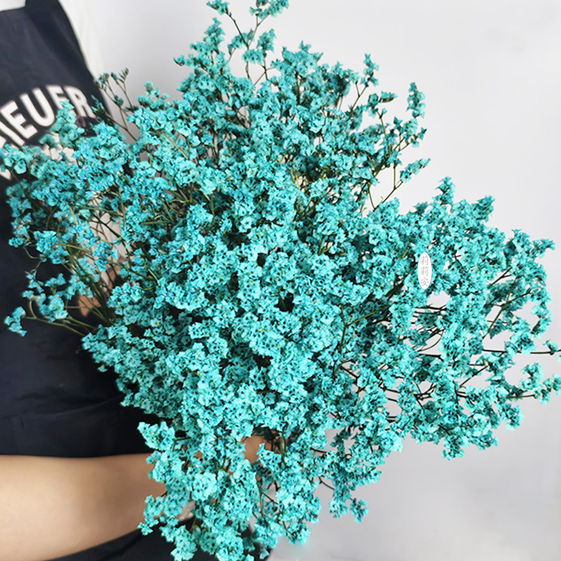 Безсмъртна кристална трева – изсушени цветя за букет, боядисана, Opp торбички опаковка, марка Lillian's