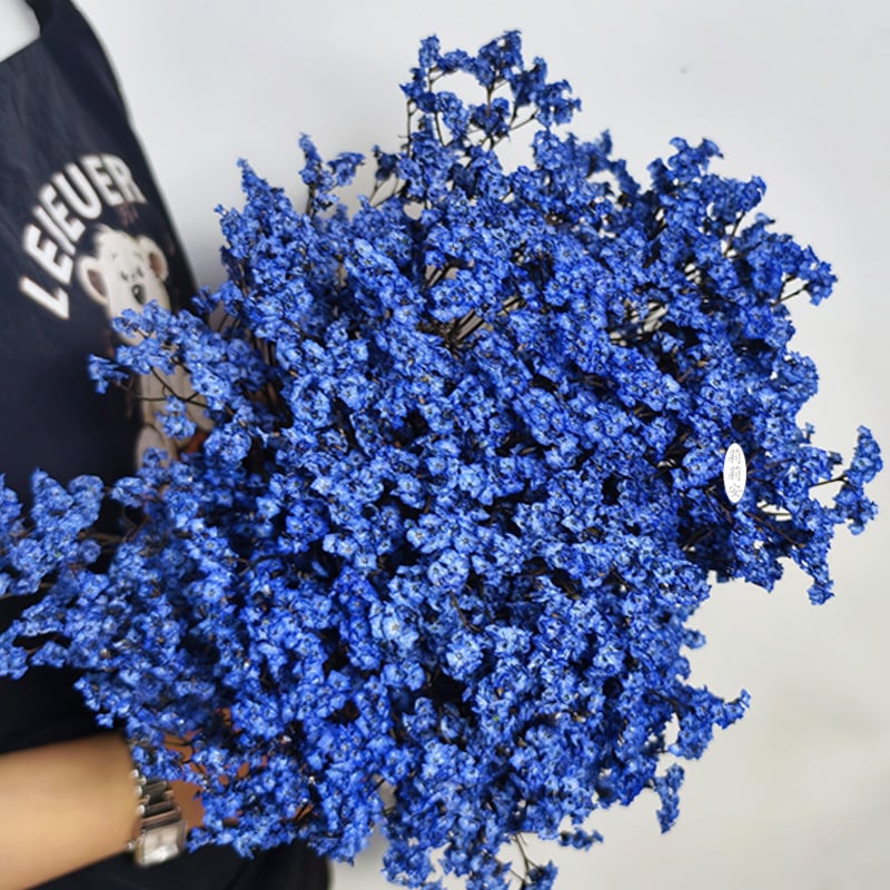 Безсмъртна кристална трева – изсушени цветя за букет, боядисана, Opp торбички опаковка, марка Lillian's