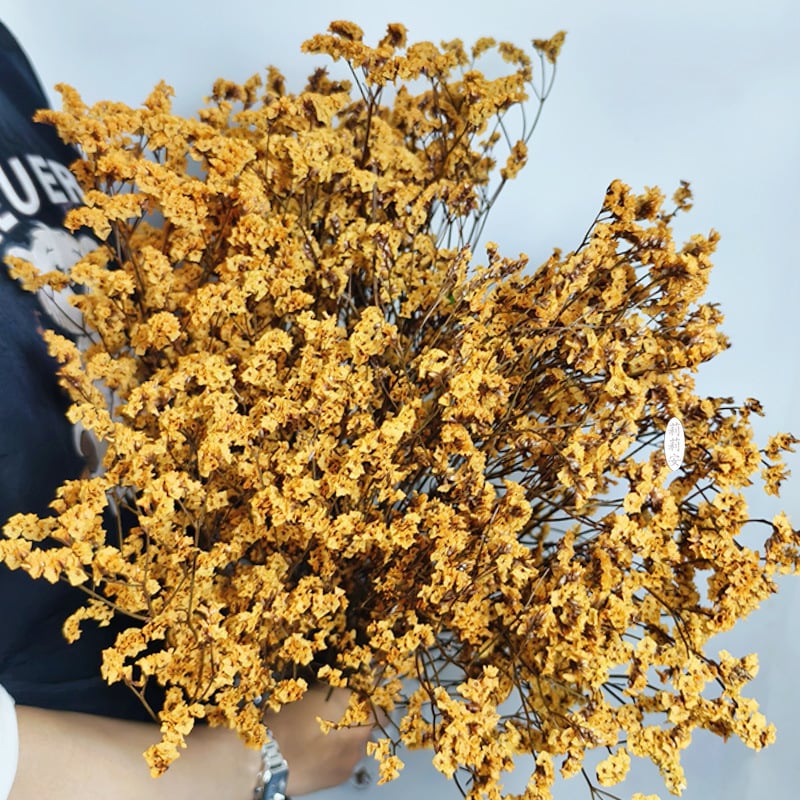 Безсмъртна кристална трева – изсушени цветя за букет, боядисана, Opp торбички опаковка, марка Lillian's