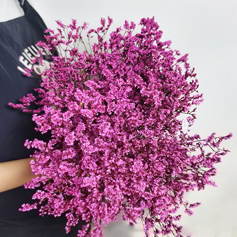 Безсмъртна кристална трева – изсушени цветя за букет, боядисана, Opp торбички опаковка, марка Lillian's