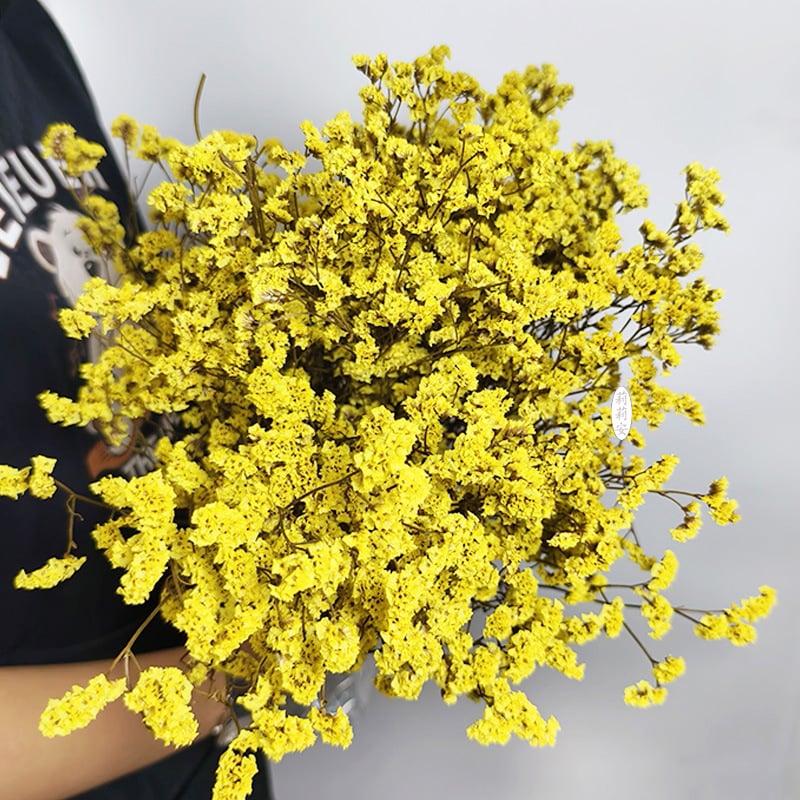 Безсмъртна кристална трева – изсушени цветя за букет, боядисана, Opp торбички опаковка, марка Lillian's