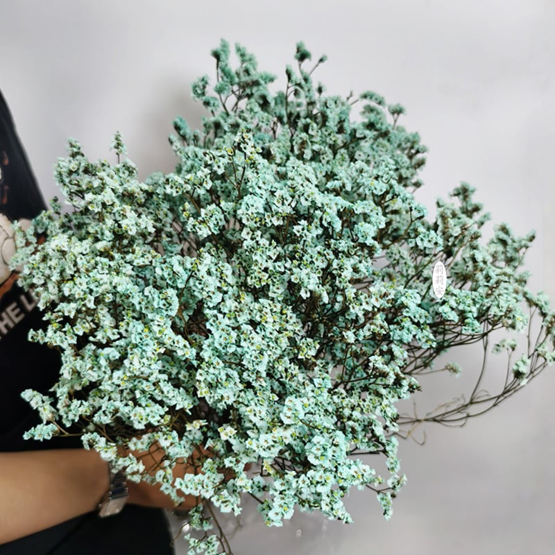 Безсмъртна кристална трева – изсушени цветя за букет, боядисана, Opp торбички опаковка, марка Lillian's