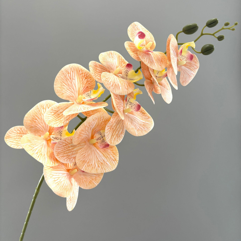 Phalaenopsis umjetna orhideja, 3D ispis, svilenih latica, pogodno za vjenčanja i kućnu dekoraciju