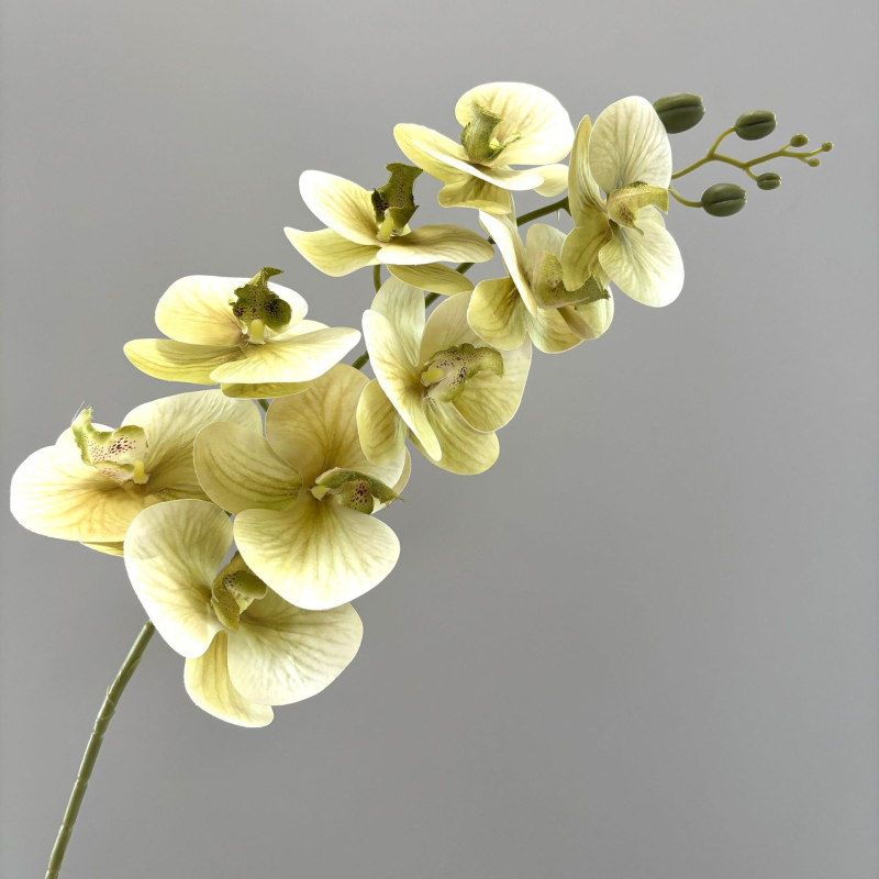 Phalaenopsis umjetna orhideja, 3D ispis, svilenih latica, pogodno za vjenčanja i kućnu dekoraciju