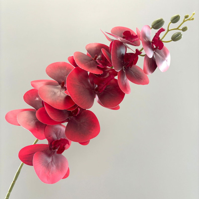 Phalaenopsis umjetna orhideja, 3D ispis, svilenih latica, pogodno za vjenčanja i kućnu dekoraciju