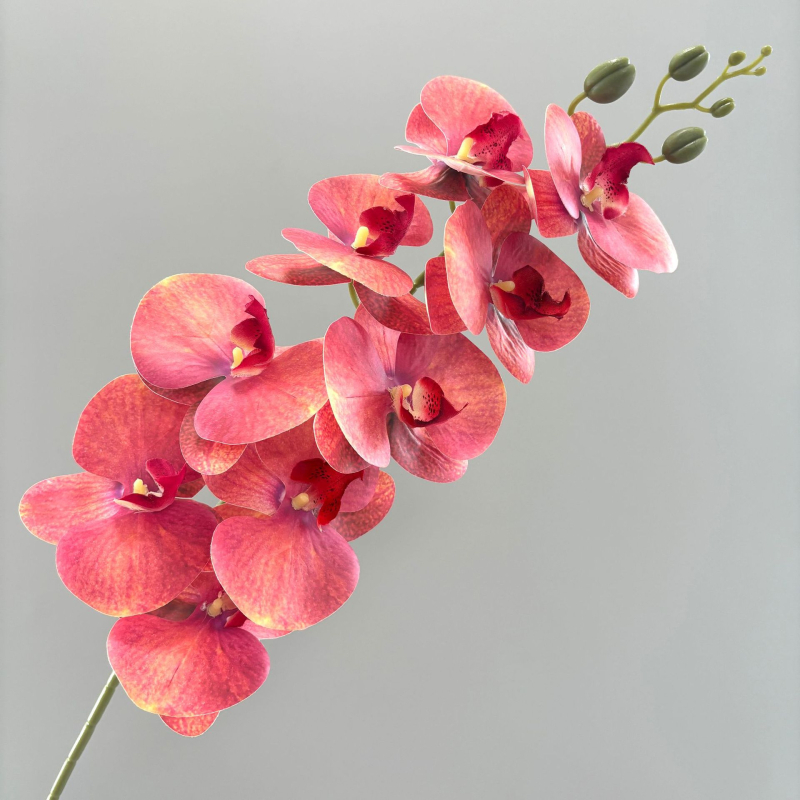Phalaenopsis umjetna orhideja, 3D ispis, svilenih latica, pogodno za vjenčanja i kućnu dekoraciju
