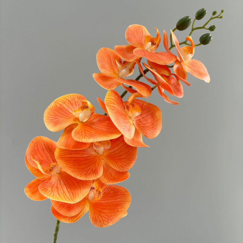 Phalaenopsis umjetna orhideja, 3D ispis, svilenih latica, pogodno za vjenčanja i kućnu dekoraciju