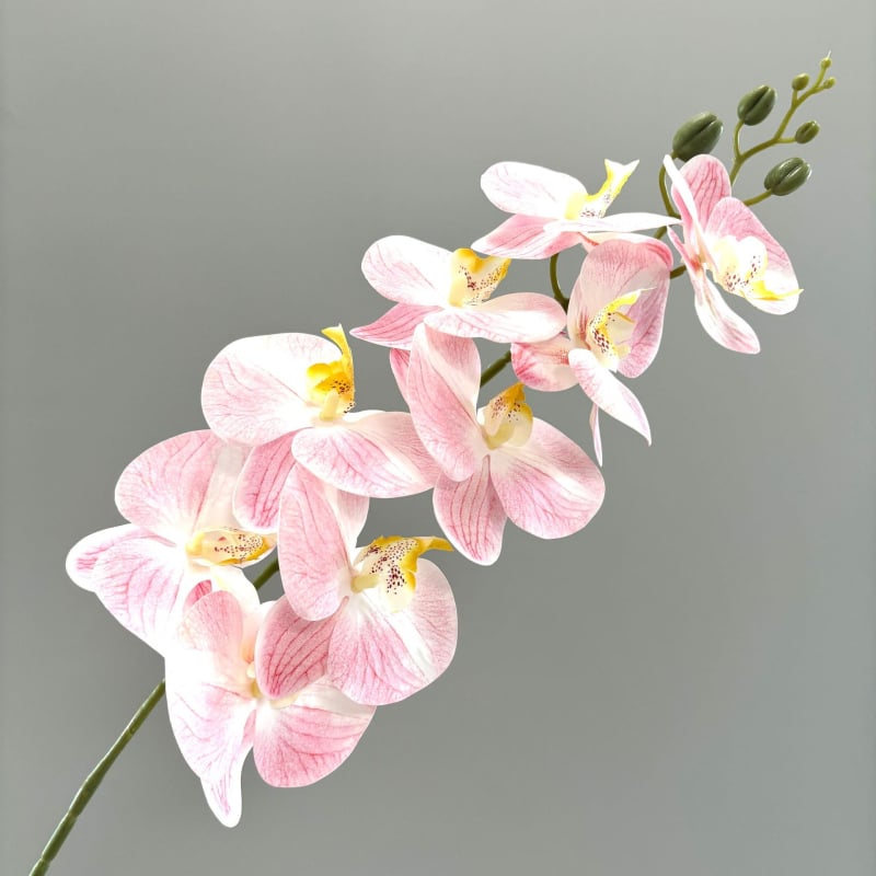 Phalaenopsis umjetna orhideja, 3D ispis, svilenih latica, pogodno za vjenčanja i kućnu dekoraciju