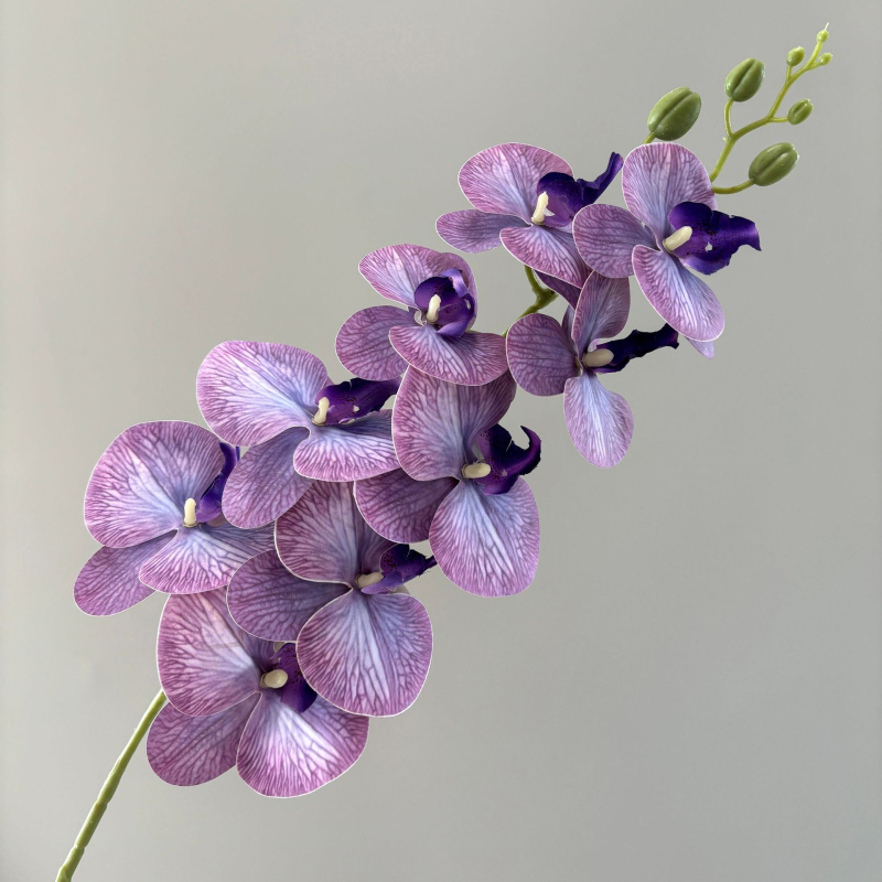 Phalaenopsis umjetna orhideja, 3D ispis, svilenih latica, pogodno za vjenčanja i kućnu dekoraciju