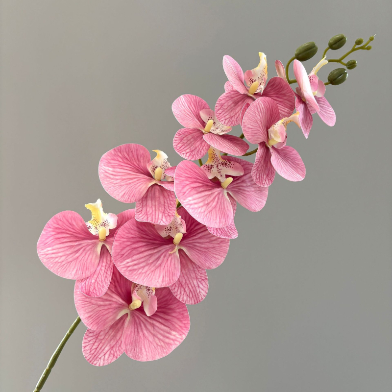 Phalaenopsis umjetna orhideja, 3D ispis, svilenih latica, pogodno za vjenčanja i kućnu dekoraciju
